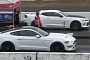 Ford Mustang GT Races Chevy Camaro SS, You’ll Be Stunned to See the Loser Get Demolished