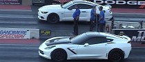 Ford Mustang GT Races Corvette C7 Stingray, Loser Drops the Ball in Embarrassing Fashion