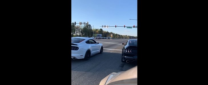 2 shelby cobras and a hellcat race from light and mustang crashes full video CRAZYYYY!!! ig r_reece