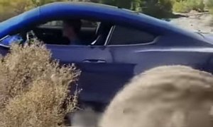 Ford Mustang GT Thinks It's a Subaru, Gets Stuck on First Offroading Attempt