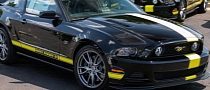 Ford Mustang Hertz Penske GT Special Edition Introduced