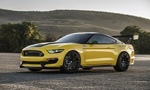 Ford Mustang Ole Yeller Shelby GT350 Pays Homage to an Aircraft