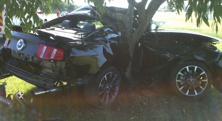 Ford Mustang tree crash