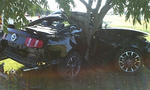 Ford Mustang Owner Hugs a Tree 8 Hours after Purchase