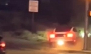 Ford Mustang Powerslides Straight Into Some Bushes, Driver Acts Like Nothing Happened