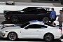 Ford Mustang Shelby GT500 Drags Challenger and Charger, the Difference Is Preposterous