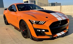 Ford Mustang Shelby GT500 With 900+ WHP Wants You to Swipe Right