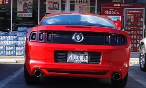 Ford Mustang with “Stock V6” Plate Is One Ironic Pony