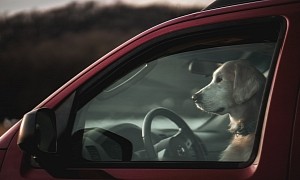 Ford's New Pet Mode Is Coming Soon, Will Be on Key Fobs