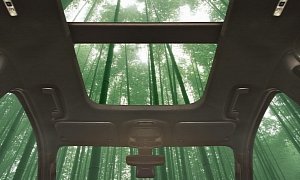 Ford Says It Wants To Put Bamboo In Cars, It's An Idea For Sustainability