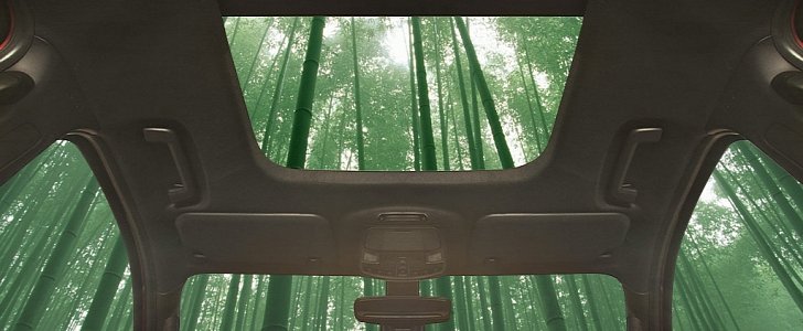 Ford experiments with Bamboo Vehicle Interiors