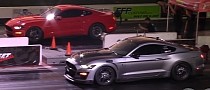 Ford Shelby GT500 Runs 8s, Turbo'd Mustang Doesn't Give a Flying Hoot About It