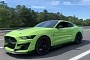 2020 Ford Mustang Shelby GT500 Races Tuned GT350, Brutality Ensues