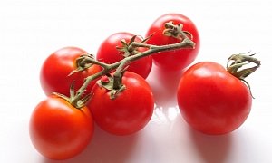 Ford Wants to Turn Tomatoes into Bioplastic for Cars