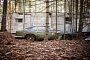 Forget About Barn Finds, This DB4 Is a Forest Find Worth $475,000