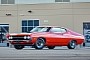 Forget the Mustang: The 1970 Torino Cobra Was Ford's Best Muscle Car of the Golden Age