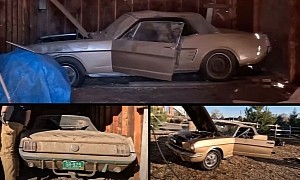 Forgotten 1966 Ford Mustang Gets First Wash in 44 Years, Becomes Beautiful Survivor