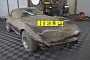 Forgotten 1974 Chevrolet Corvette Spent 34 Years in a Barn, Gets First Wash