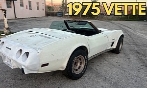 Forgotten 1975 Chevrolet Corvette Convertible Hides Rare Features, Needs Full Restoration