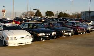 Fox Body Mustang Collection Up for Sale in Dallas