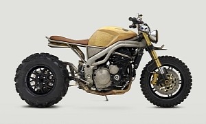 Frank Is a Custom Triumph Speed Triple With Beefy Rear-End Anatomy, Looks Savage