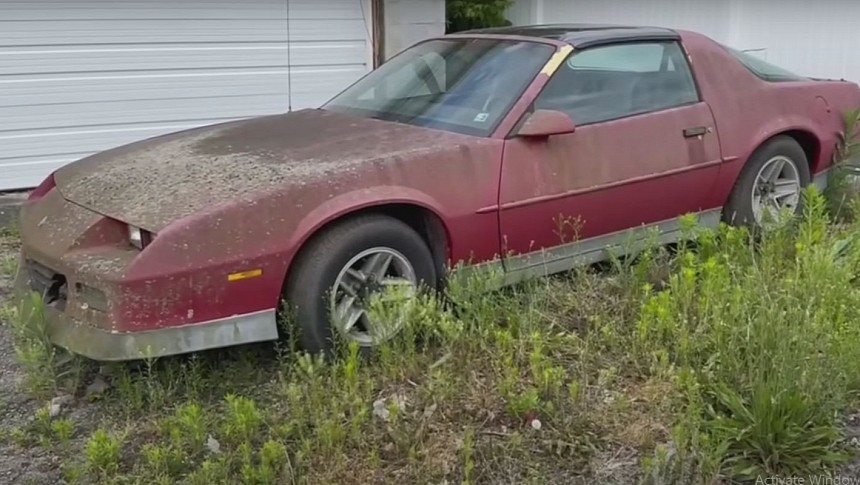 From Rust to Radiance: WD Detailing's Remarkable Restoration of a Forgotten Camaro