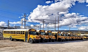 From Skoolie to Tiny Home, Tips and Tricks for Buying an Old School Bus To Convert
