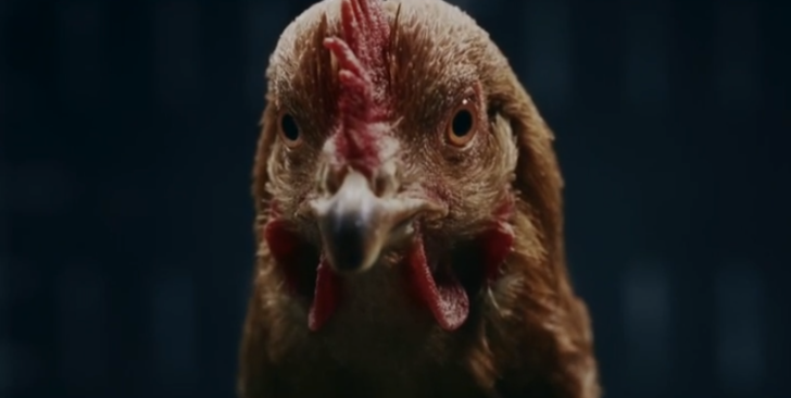Mercedes magic body control commercial with chickens