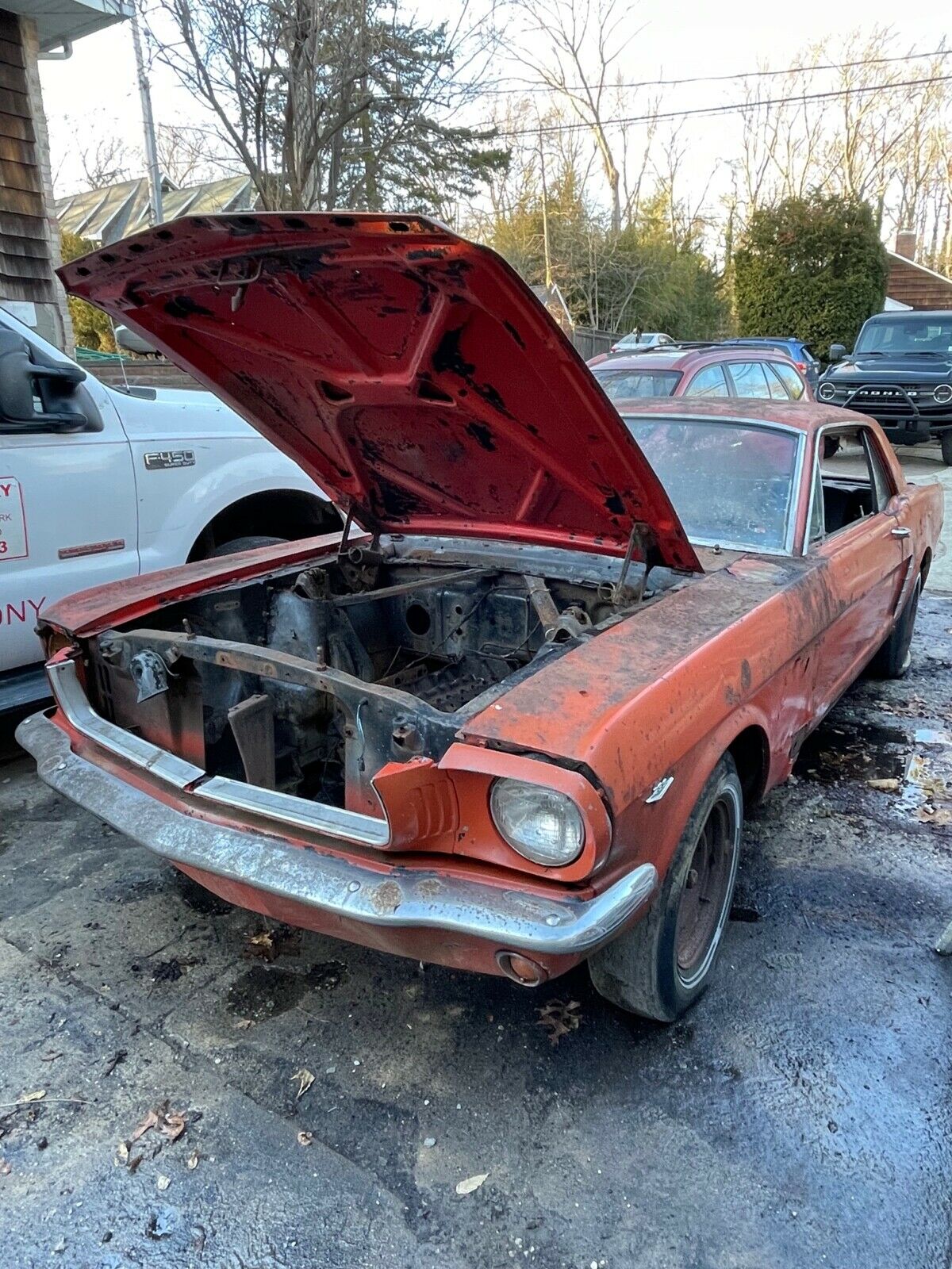 1965 Mustang Sitting for Years Looks Bad at First, Not That Bad at ...