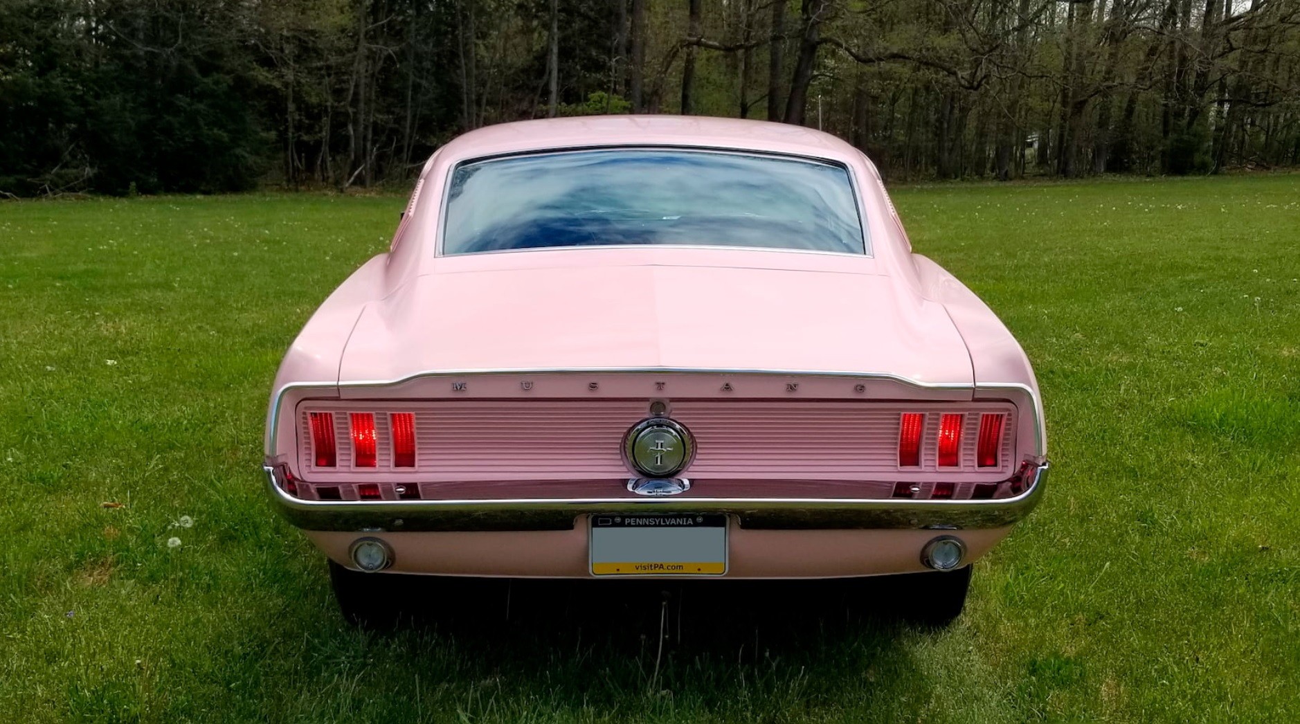 1967 Ford Mustang Is So Pink It'll Give You Chores, Ask You When