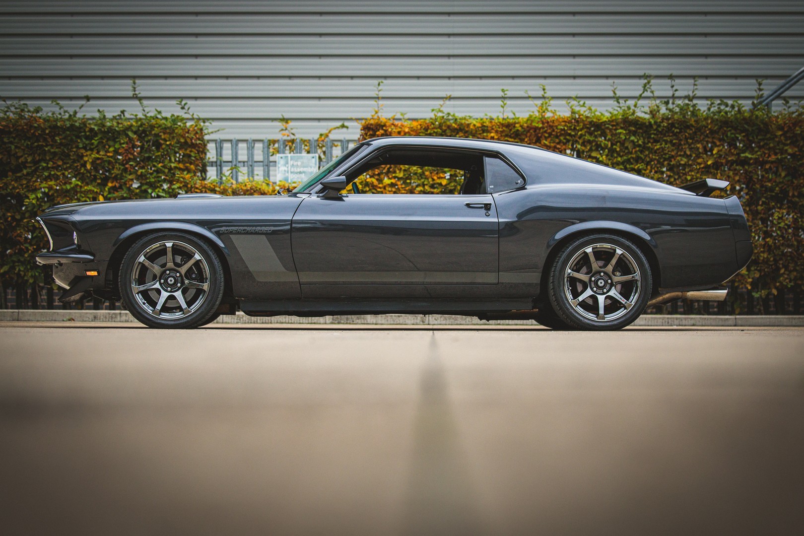 Mustang Lifestyle Terminator