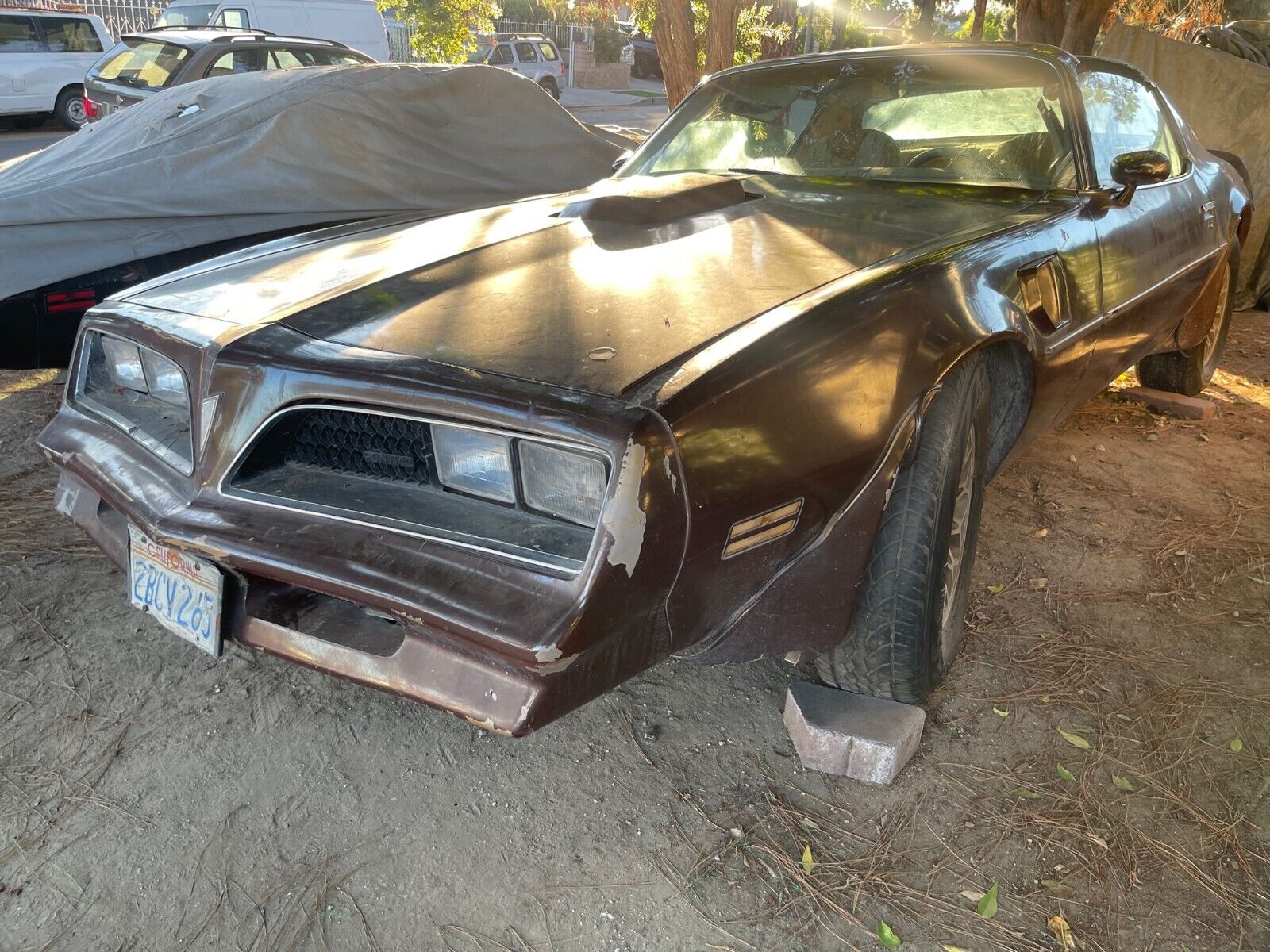 1978 Pontiac Trans Am Sitting for Years Hides a Huge Secret Under Its ...