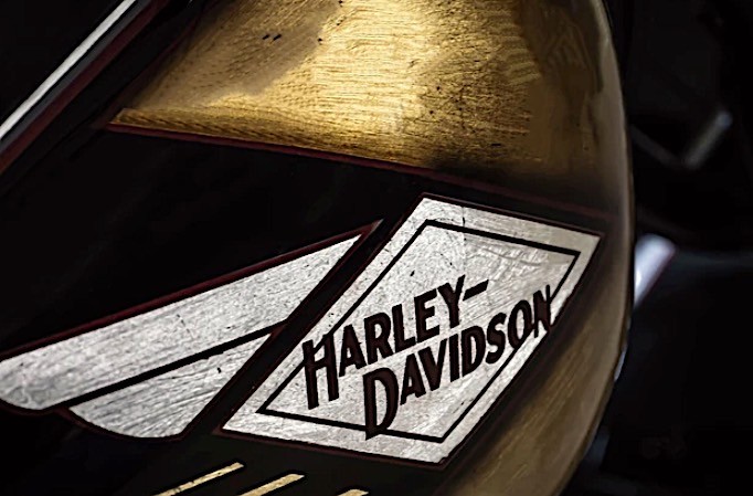 2009 Harley-Davidson Cross Bones Is the Ultimate Visual Pirate, Nod to ...