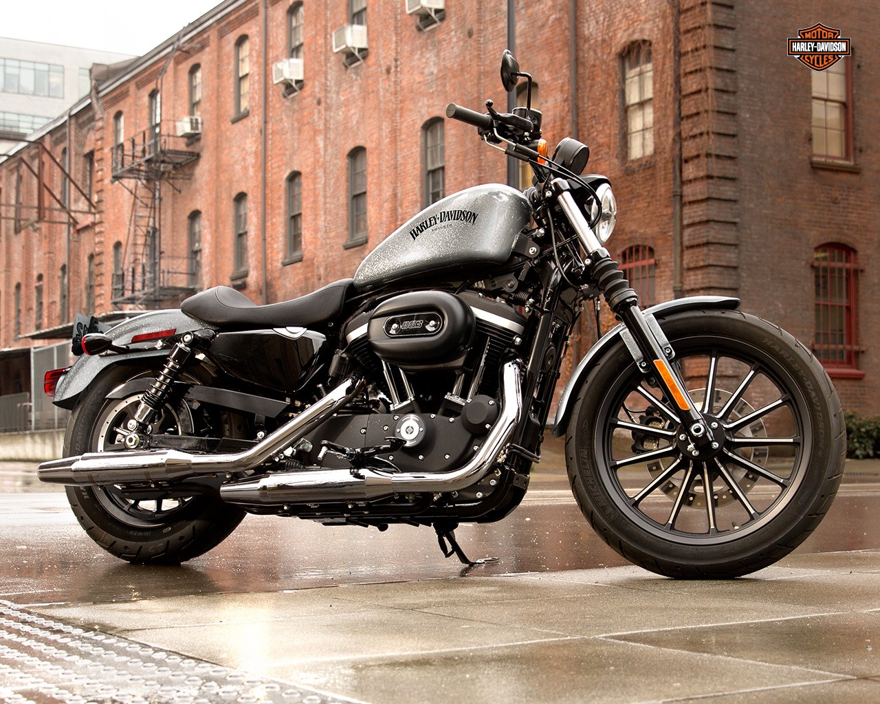 2015 Harley-Davidson 883 Iron Surfaces - autoevolution