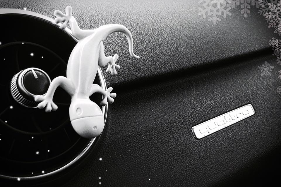 Audi Discovers Gecko Fragrance, Sells It as Car Air Freshener -  autoevolution