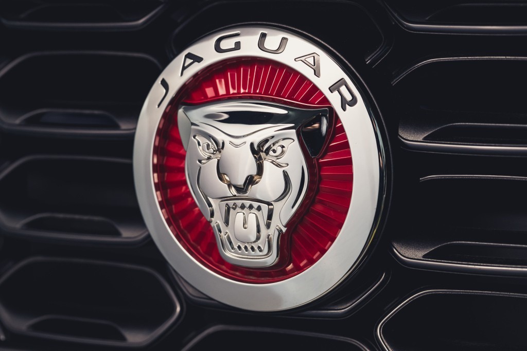 Big-Eyed Baby Jaguar Is Not the Right Emblem for the Namesake Carmaker ...