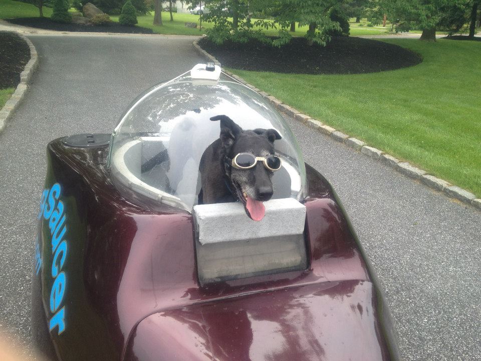 BC10 Master List - Page 2 Dog-saucer-motorcycle-trailer-seems-fun-photo-galleryvideo_5