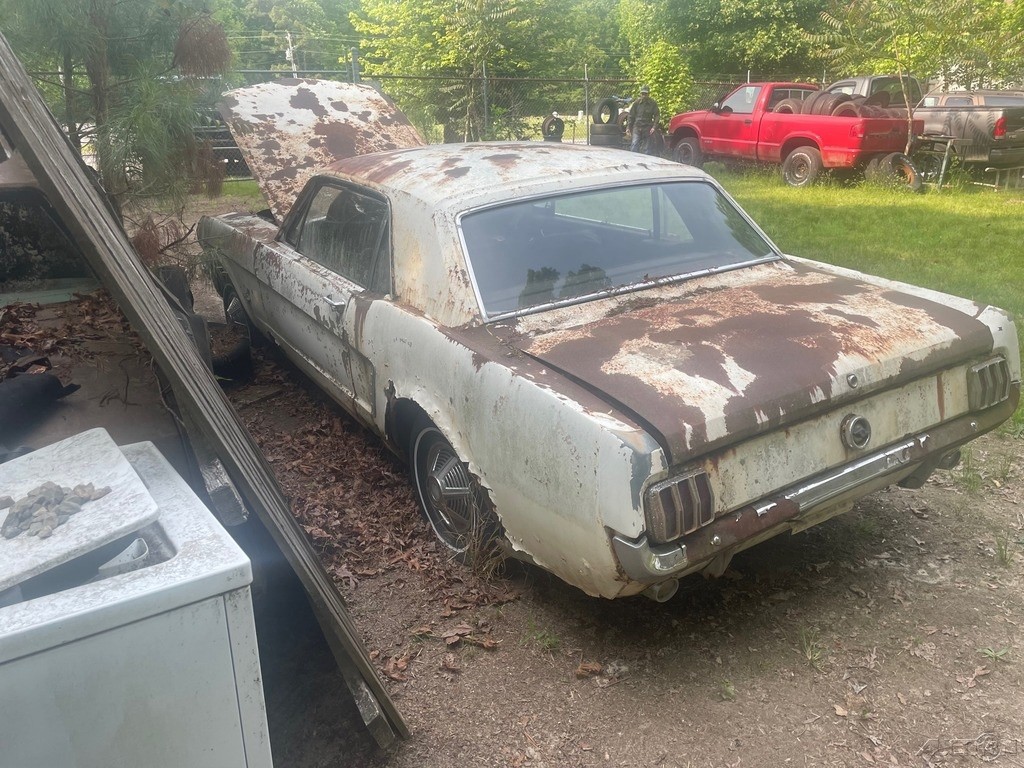Early 1964 1/2 Mustang Left To Rot on Private Property Looks Bad, Sad ...