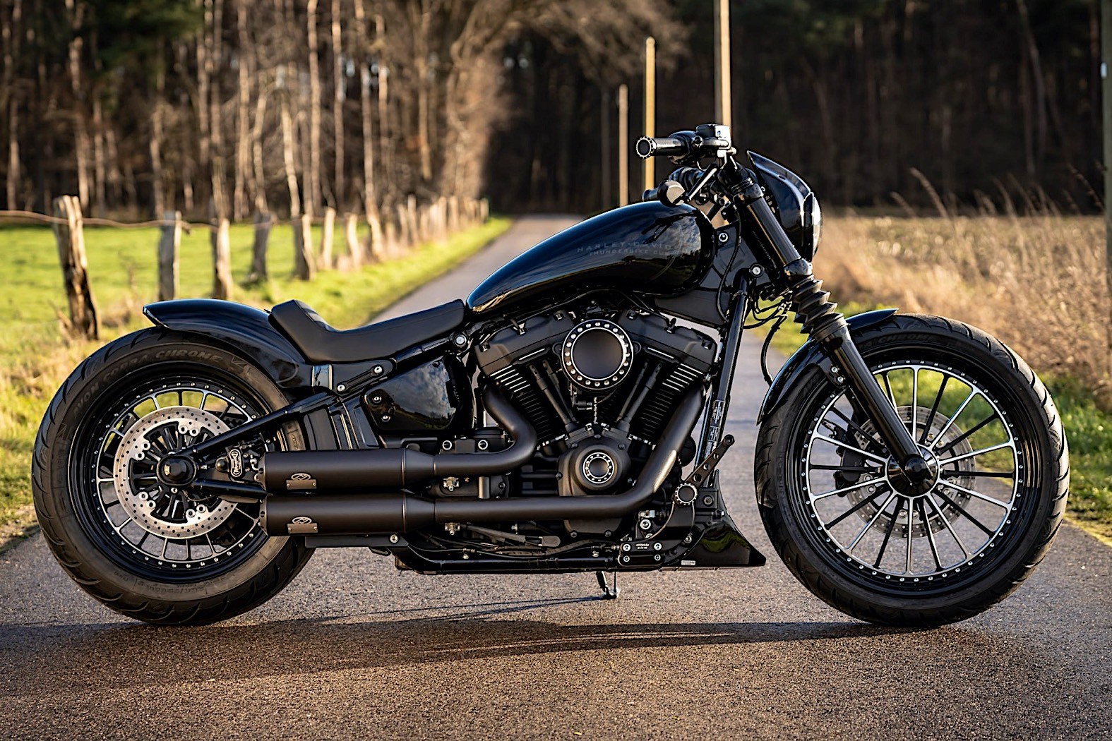 Harley-Davidson Dark Talon Is What Happens When a Street Bob Doubles ...