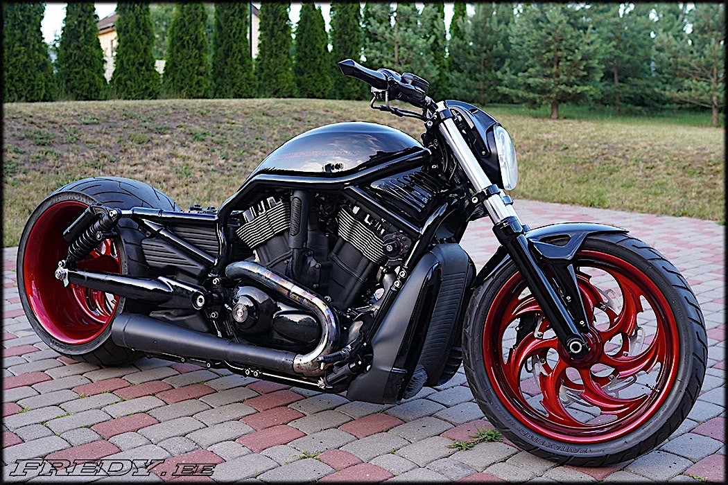 Harley-Davidson Night Rod on 360 Rear Wheel Is a Pure Mutant ...