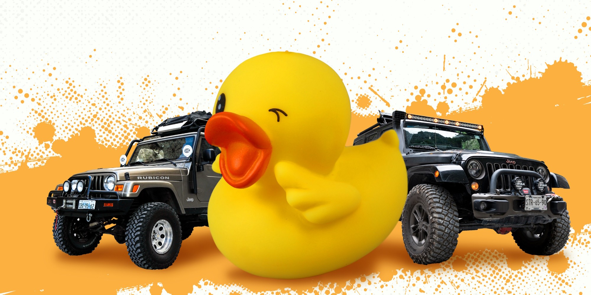Jeep Ducking Is Still a Popular, Cutest Trend Within the Tight