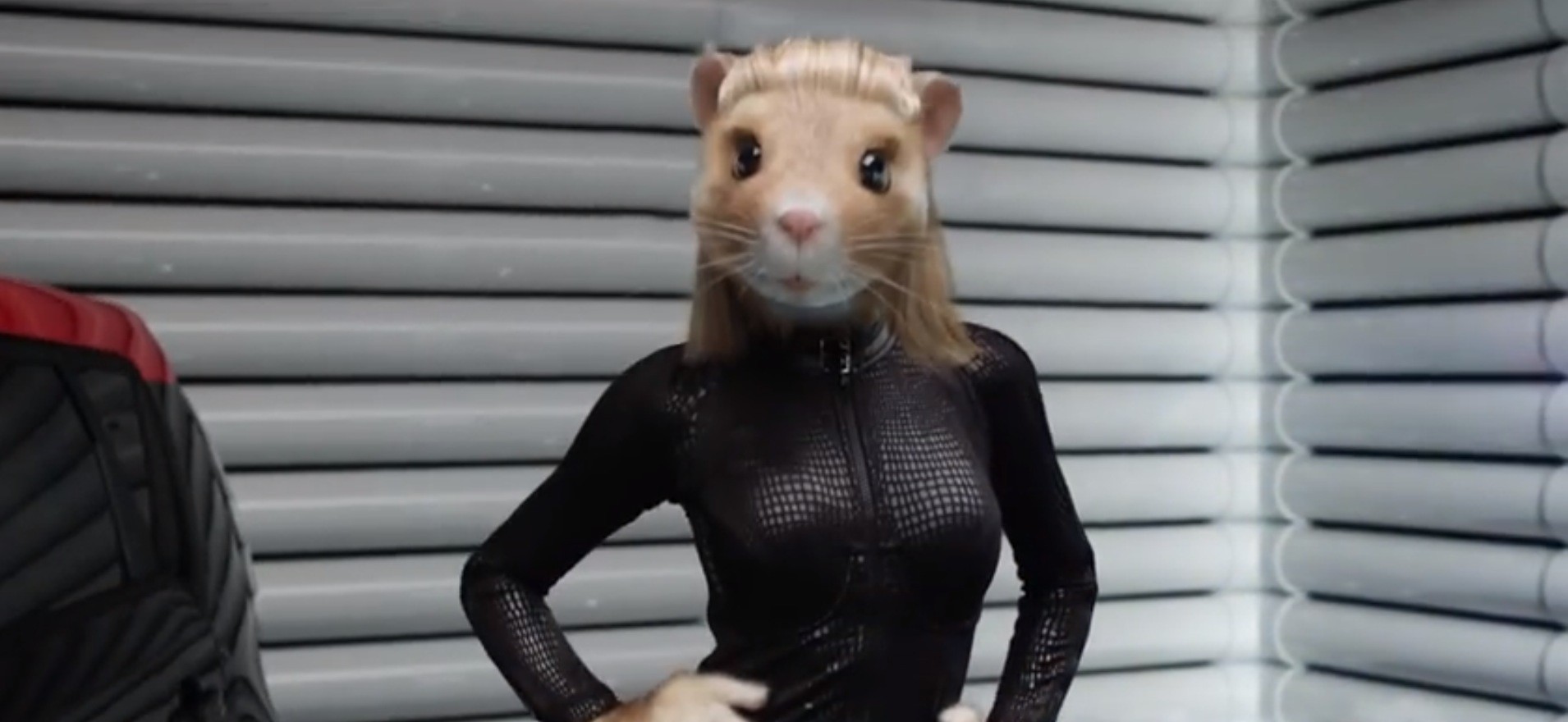 Kia Soul EV Gets its Furry Latex Freak on in Latest Hamster Commercial -  autoevolution