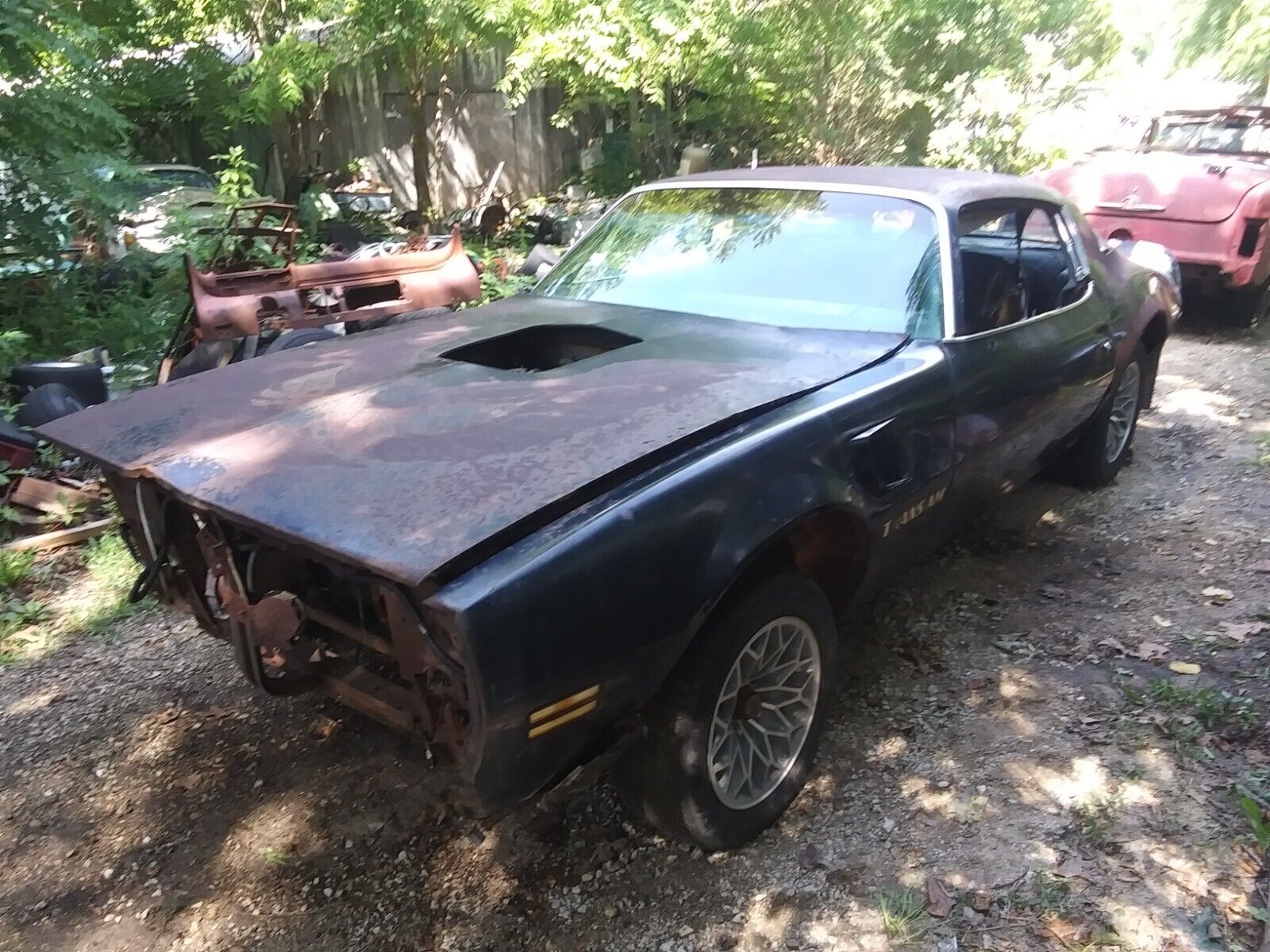 Please Explain How a 1977 Trans Am Ended Up in This Horrible Condition ...