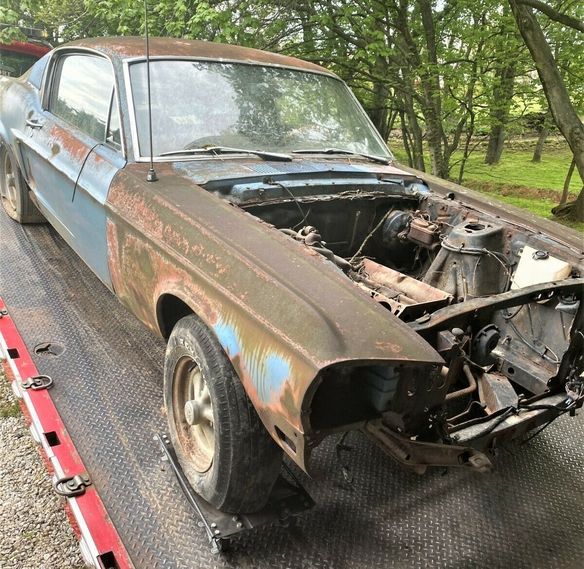 Rare 1968 Ford Mustang Cobra Jet Was Abandoned in the Forest, You Can ...