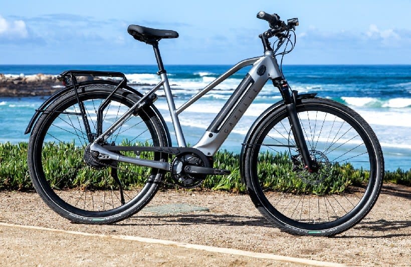 nieuwigheid kaart gracht Royal Dutch Gazelle Drops New 28MPH e-Bike Just in Time for Summer Weekend  Trips - autoevolution