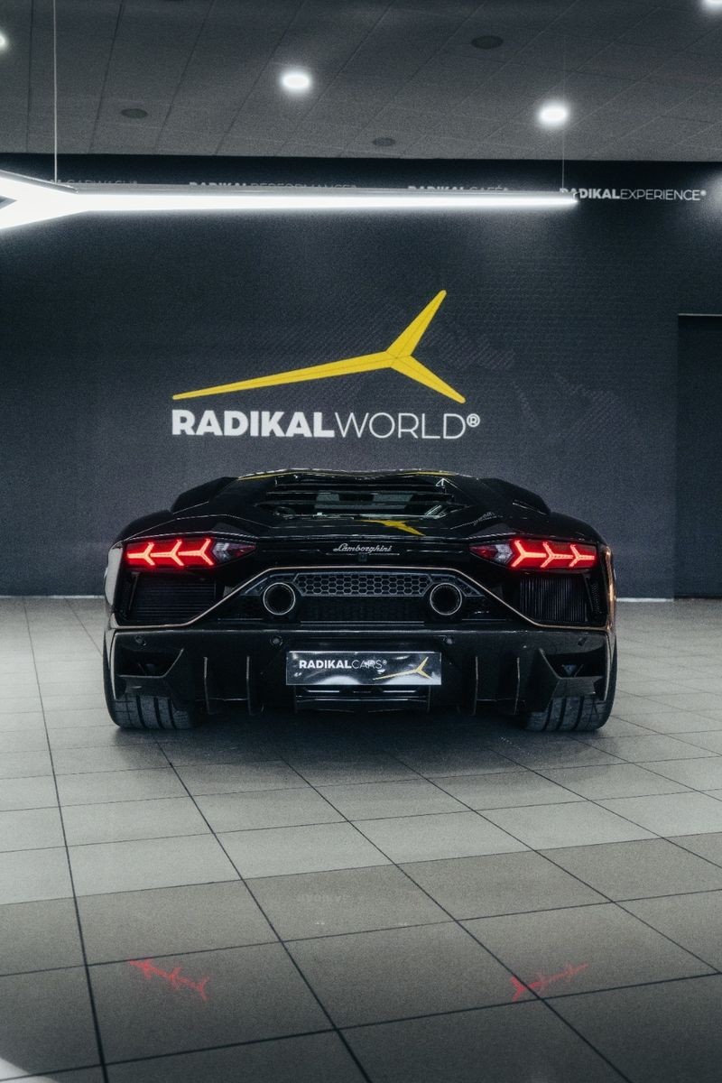 Cardborghini, the Cardboard Lamborghini Aventador, Sells for Real Car Money  - autoevolution