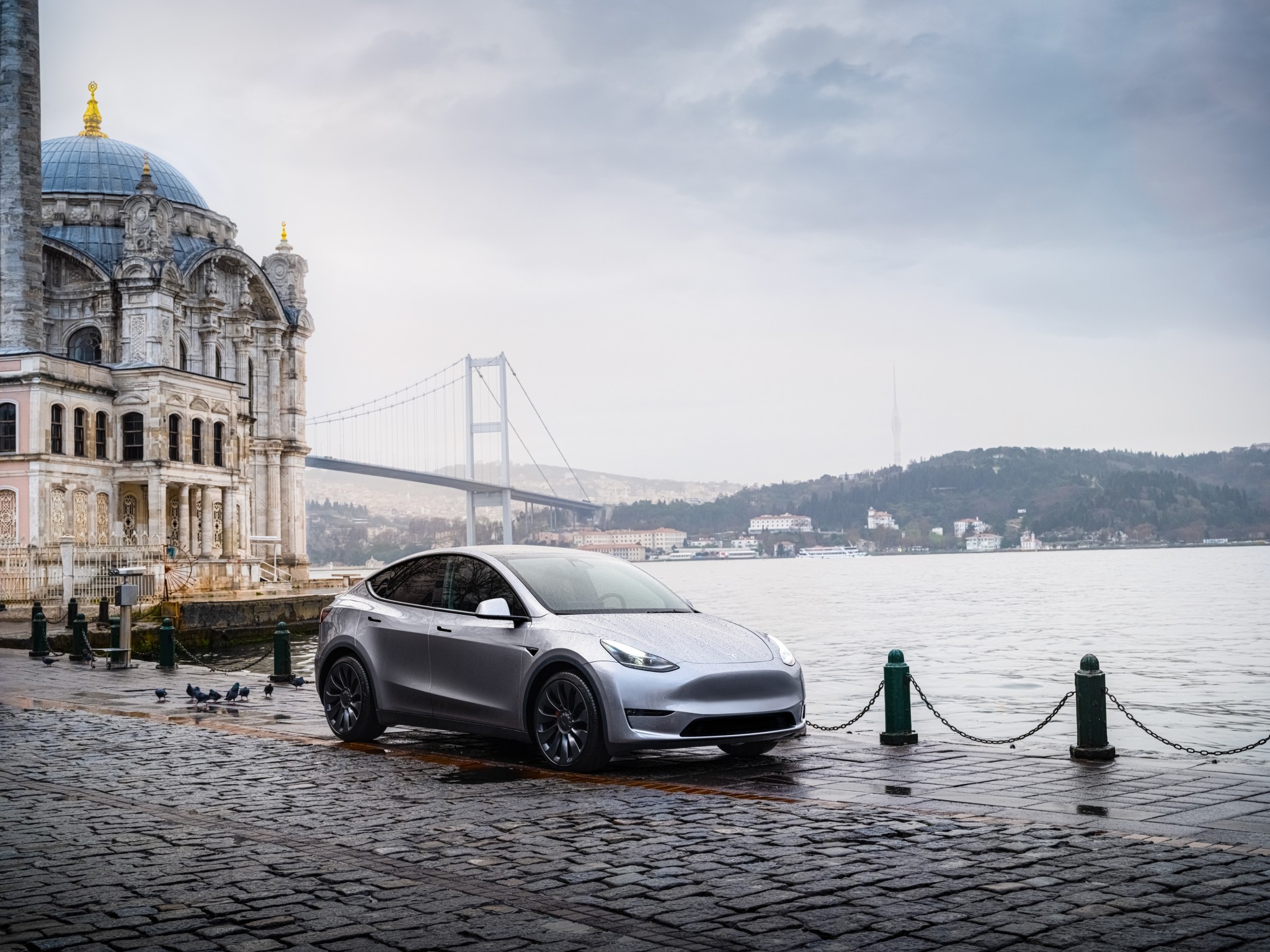 Tesla Giga Berlin Model Y with BYD Batteries Shows High Charging  Performance 
