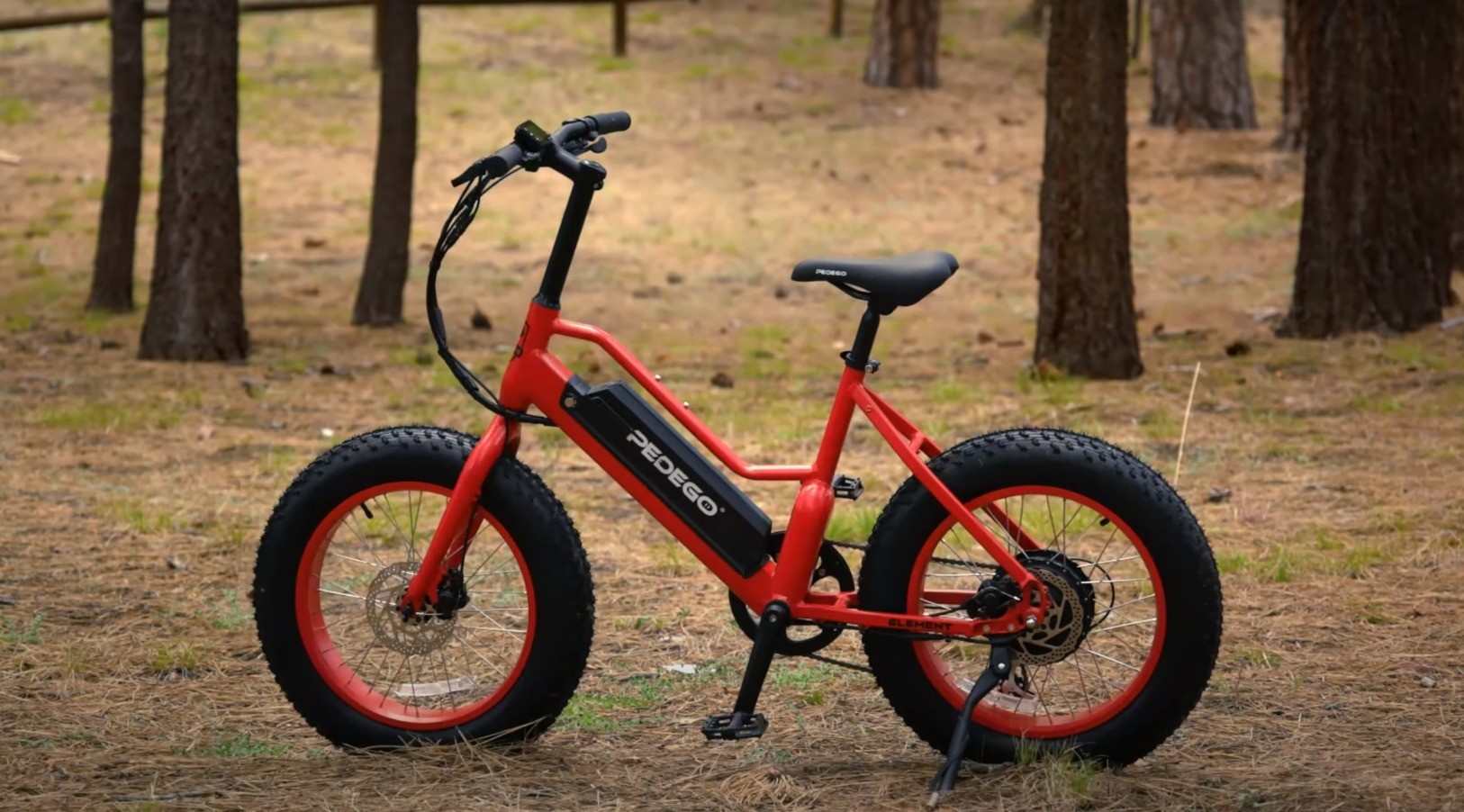 The "Element" from Pedego Is a Powerful, Inexpensive Ebike that Wants