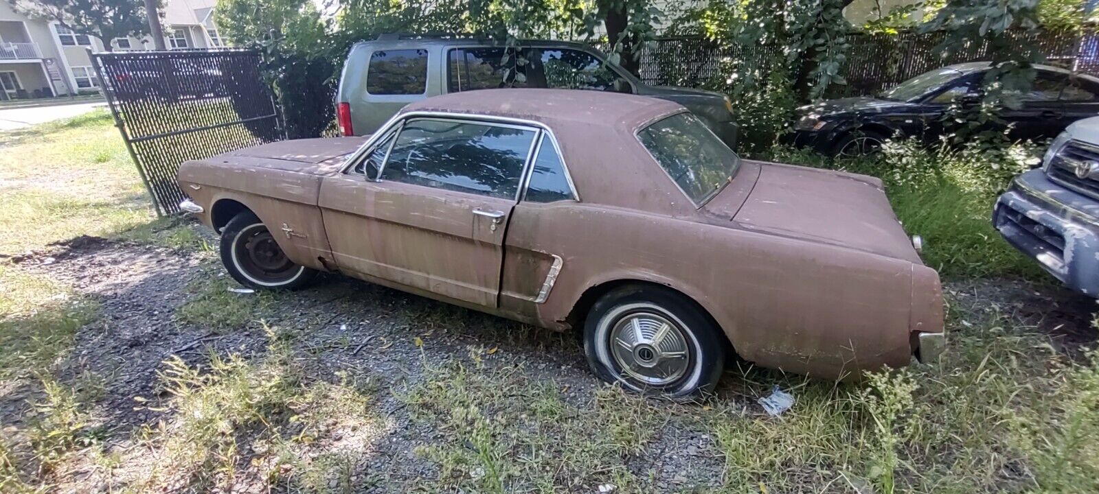 This Abandoned 1965 Mustang Looks More Compelling Than the Entire ...