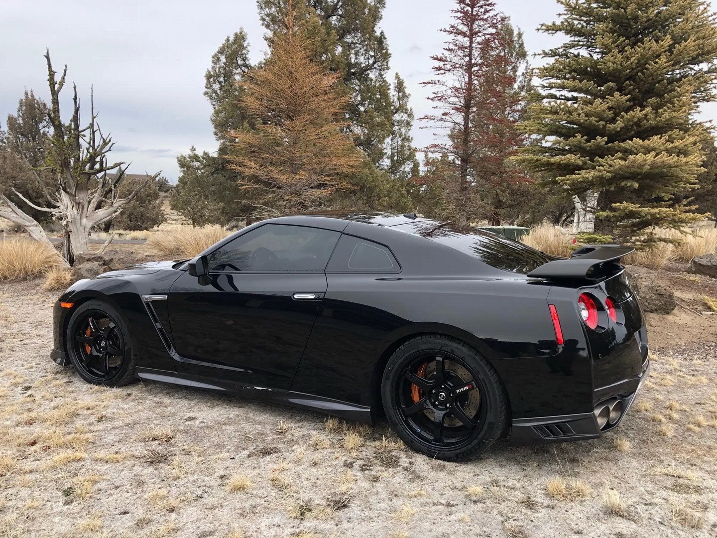 This Jet Black Nissan Gt R Track Edition Is Our Idea Of A Scary Mechagodzilla Autoevolution